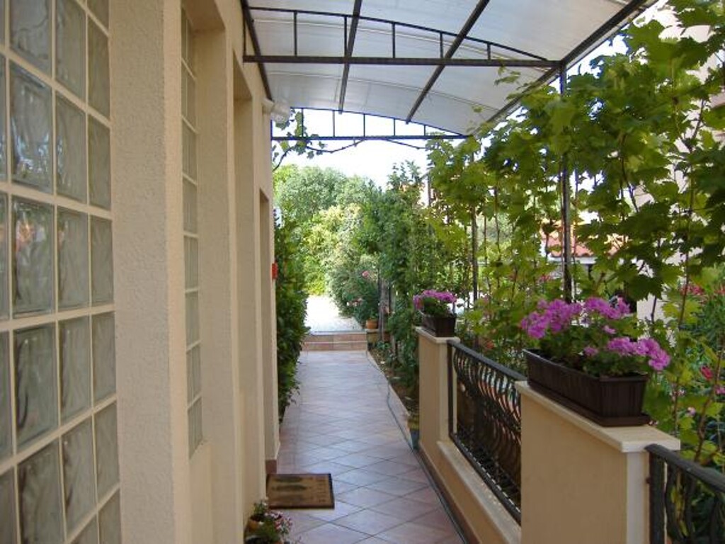 Image 3813236 - 12