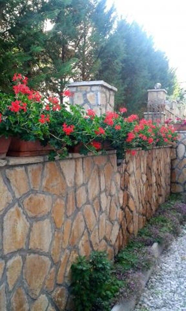 Image 3838938 - 10