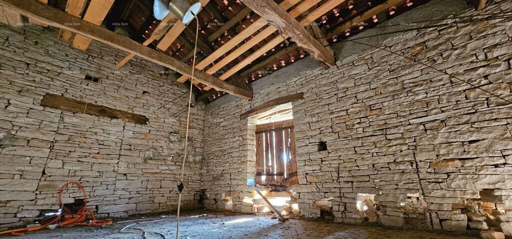 Image 12