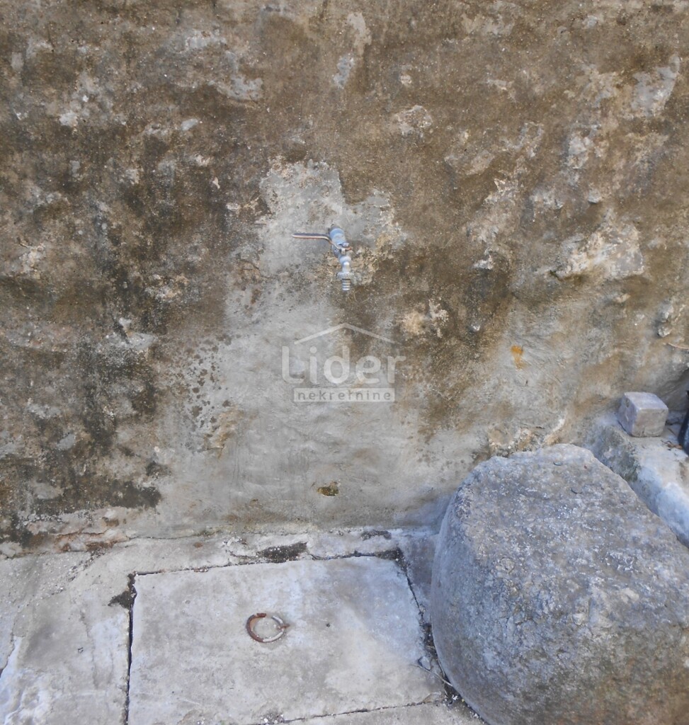 Image 21