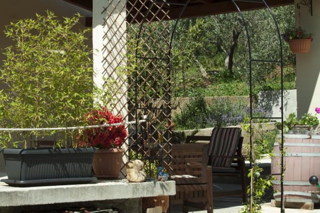 Image 3810528 - 15