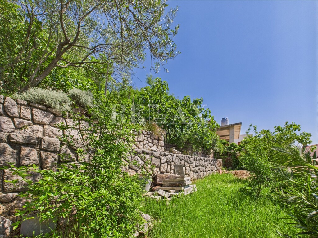 Image 6082521 - 9