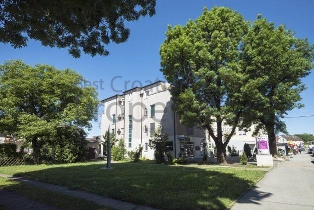 Image 5847409 - 20