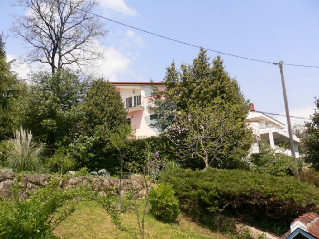 Image 5411121 - 2
