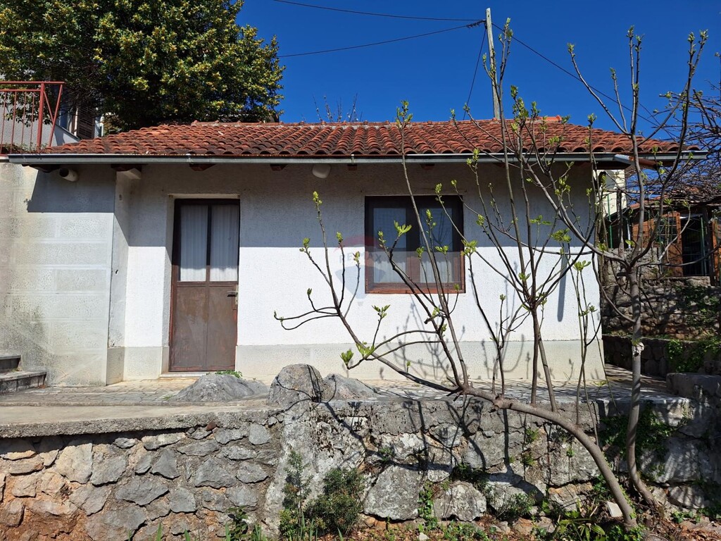 Image 19