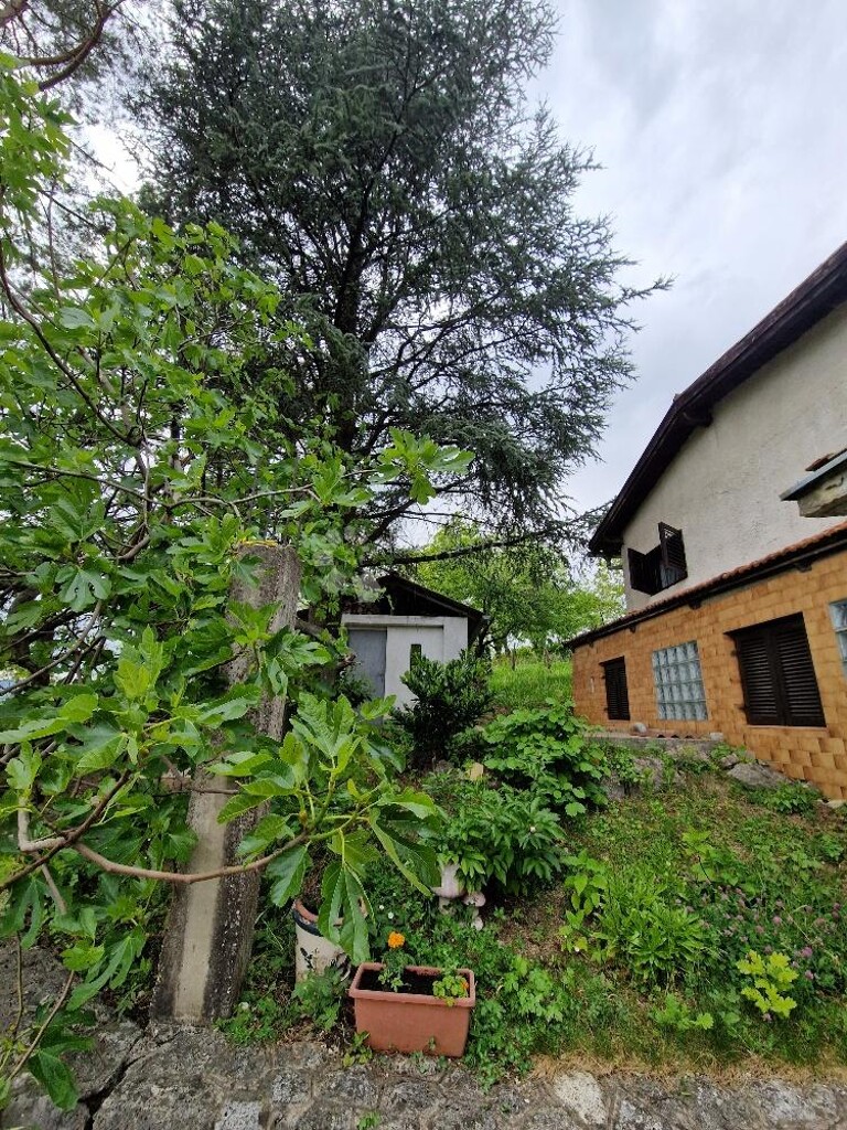 Image 13