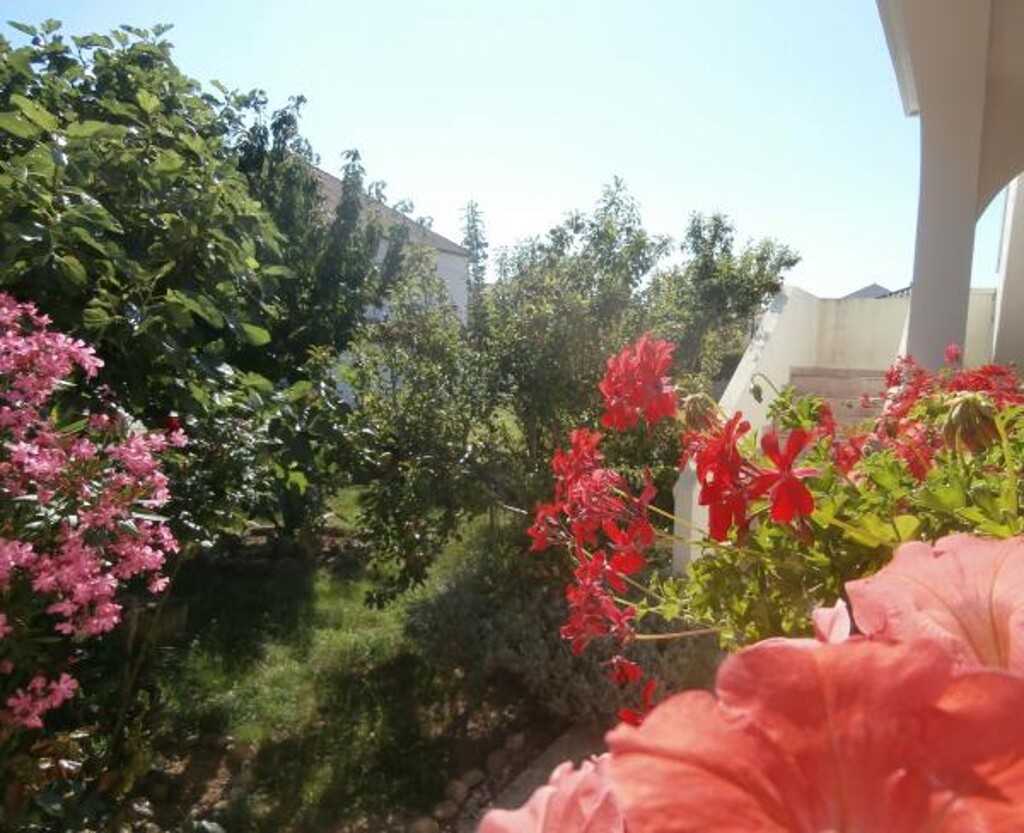 Image 3832240 - 33
