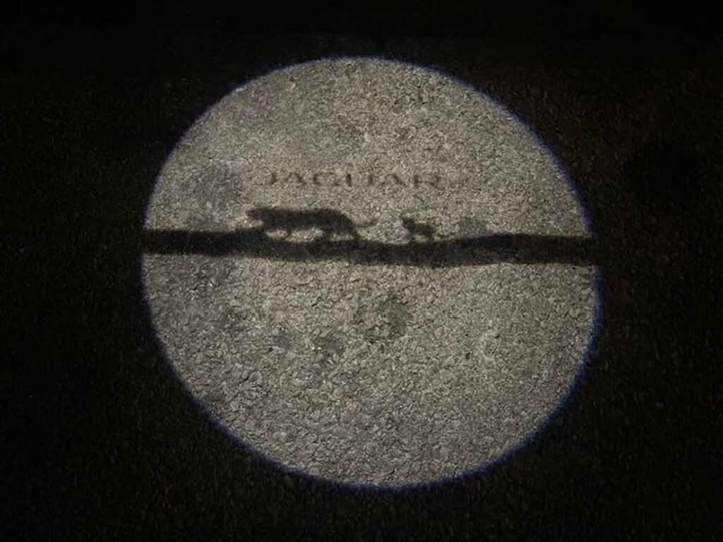 Image 15