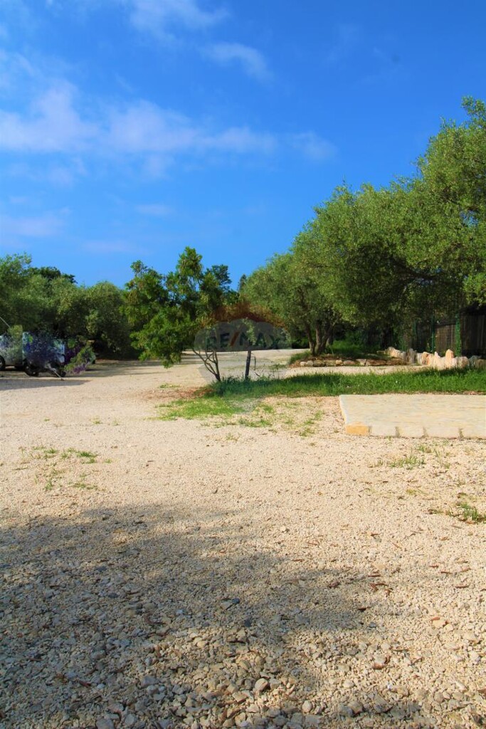 Image 13