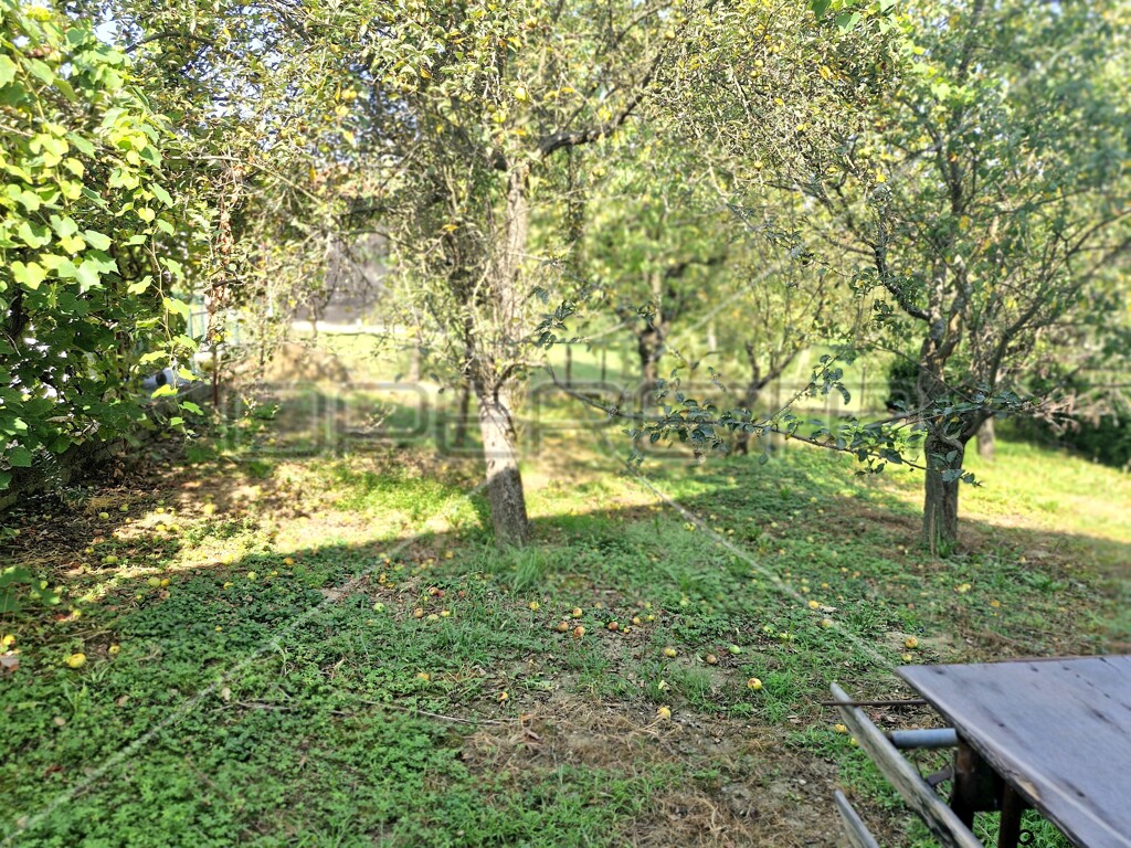 Image 6159663 - 17