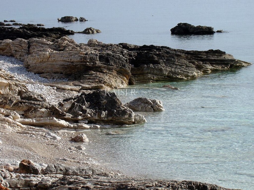 Image 14