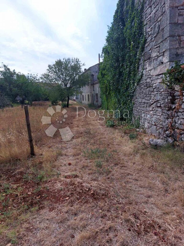 Image 13