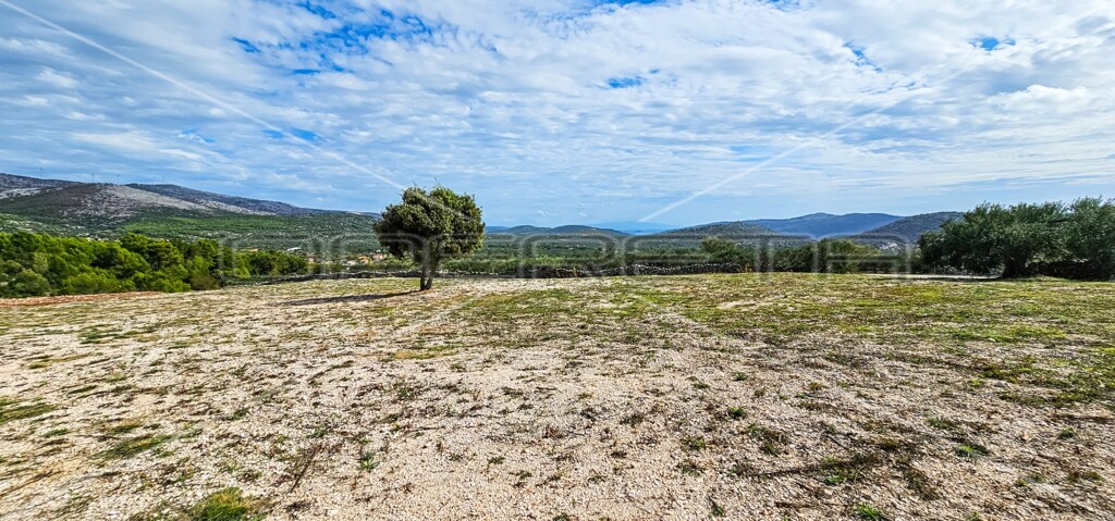 Image 13