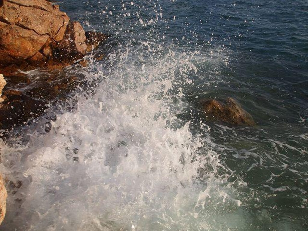 Image 19