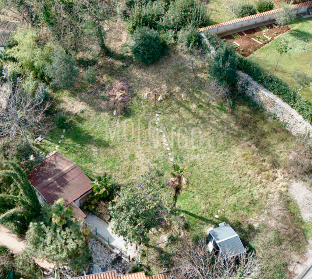 Image 6236101 - 1