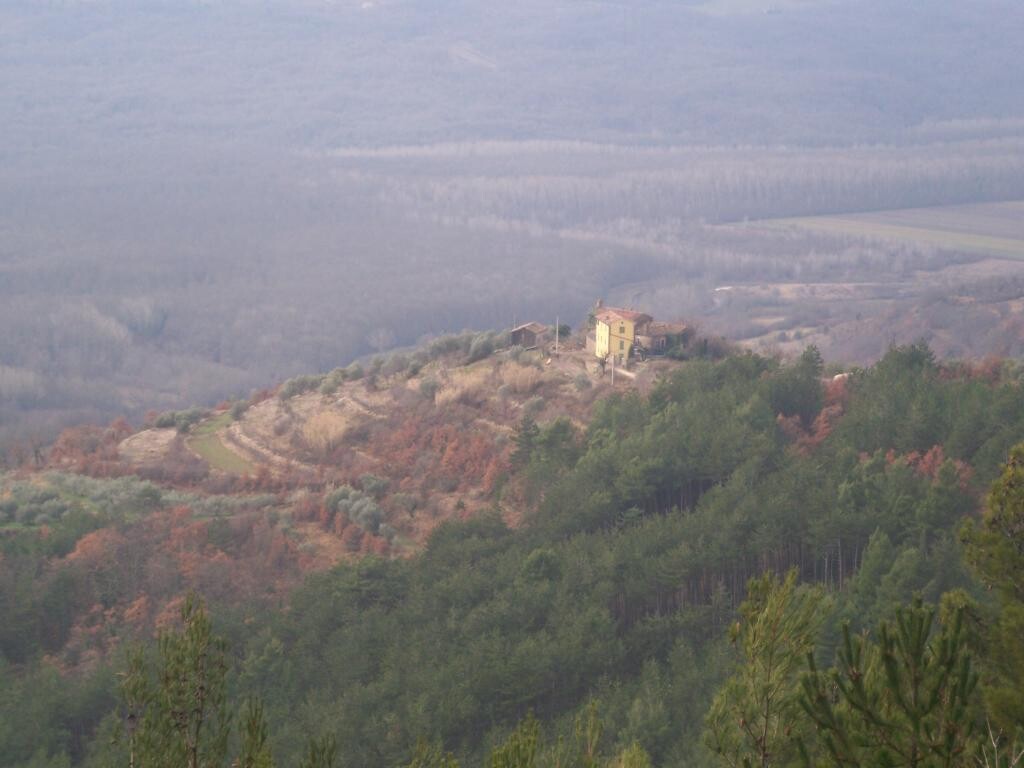 Image 8
