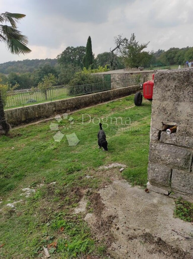 Image 23