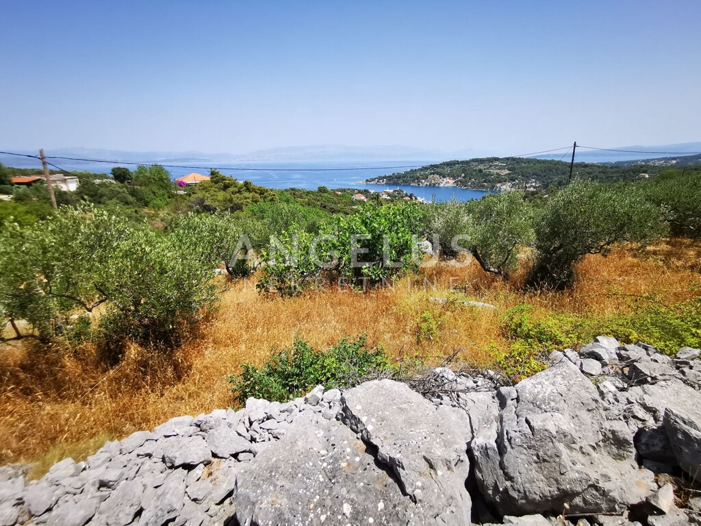 Image 9