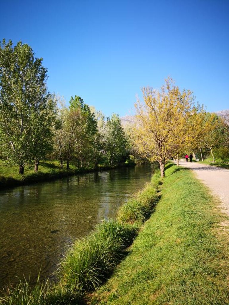 Image 3814486 - 17