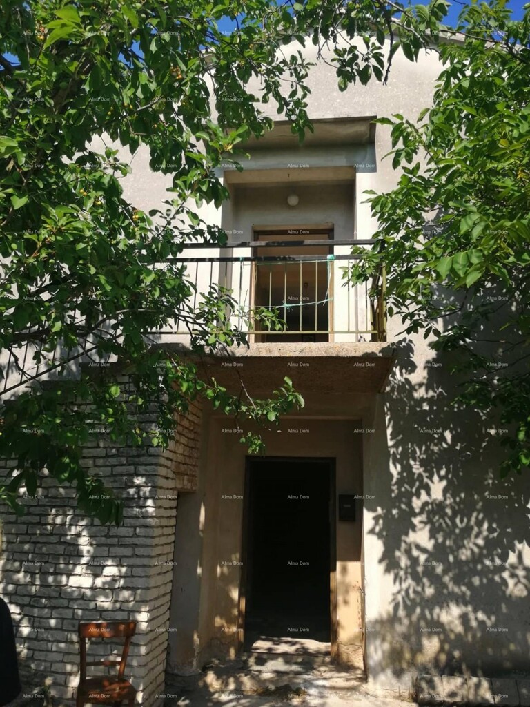 Image 14