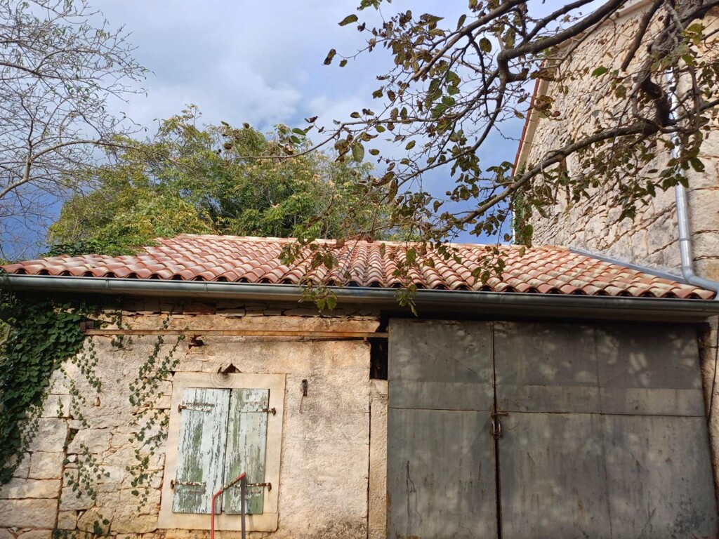 Image 9
