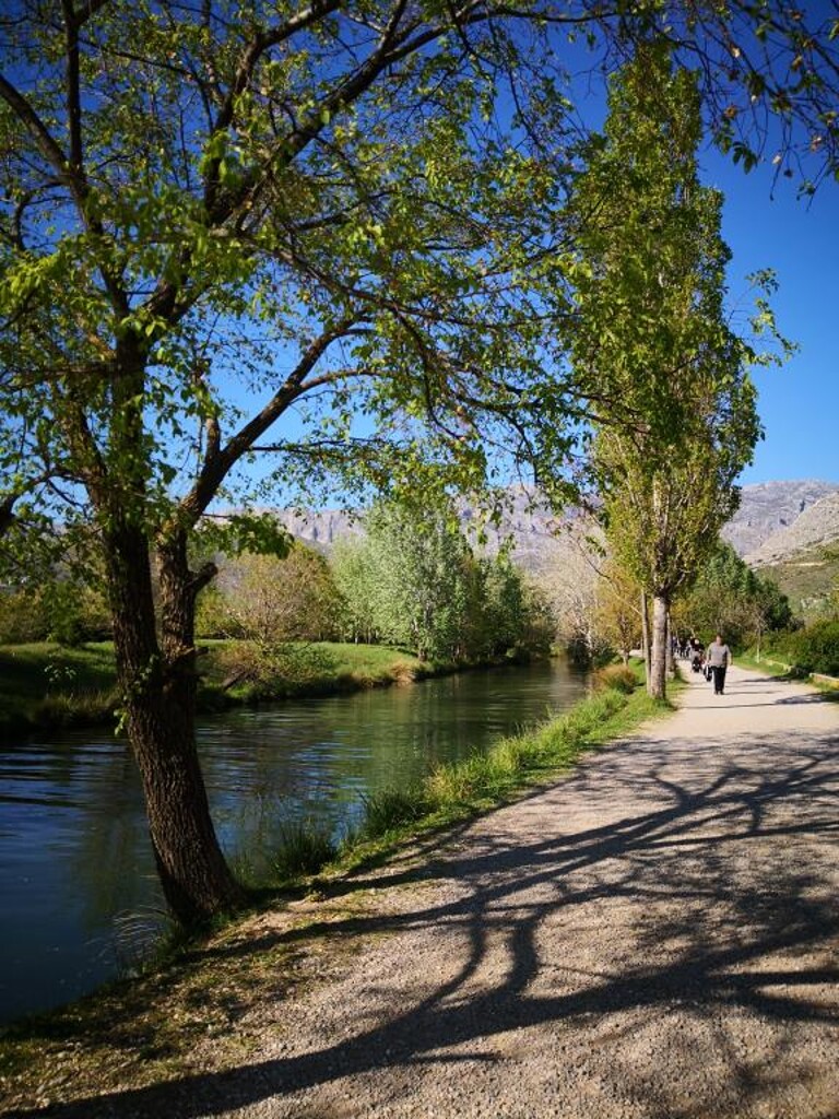 Image 3814486 - 16