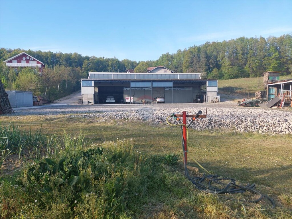 Image 12