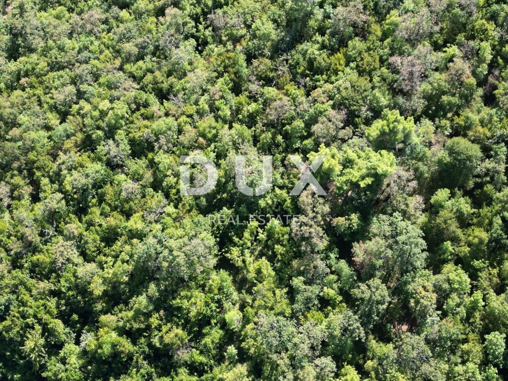 Image 14