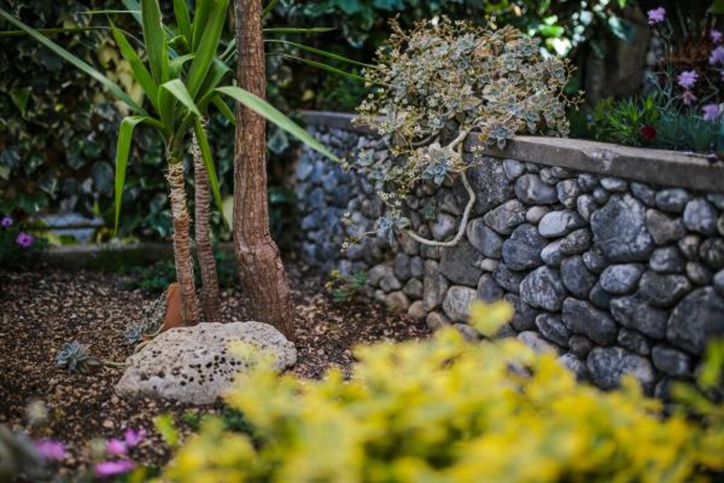 Image 3838775 - 8