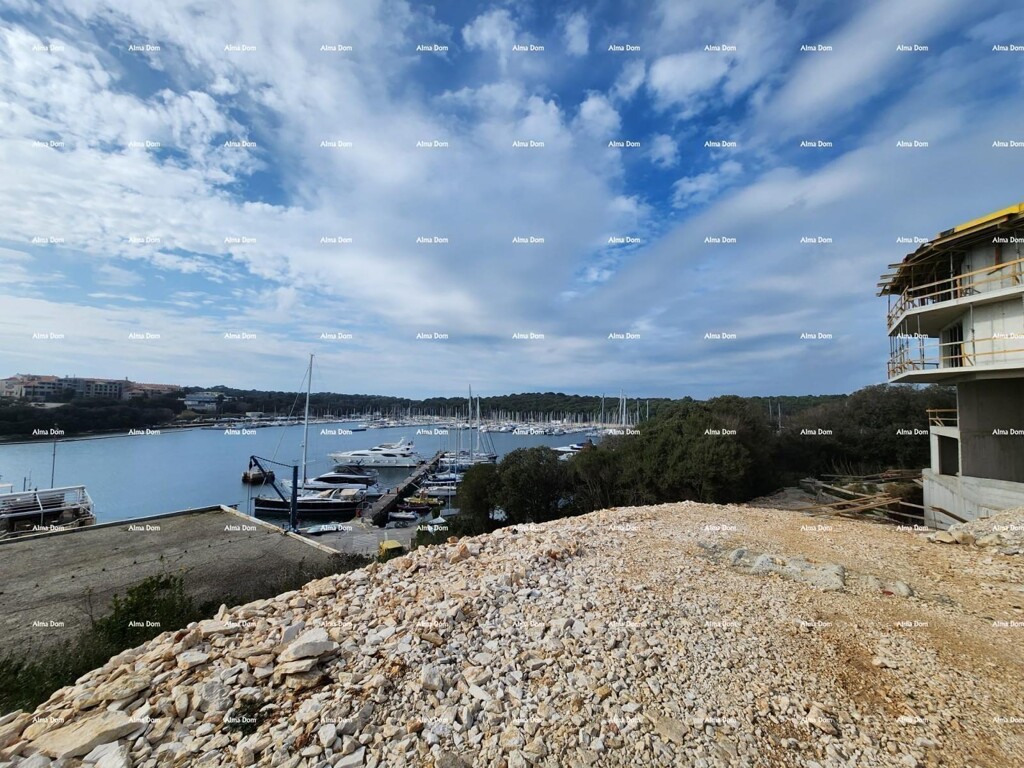Image 13