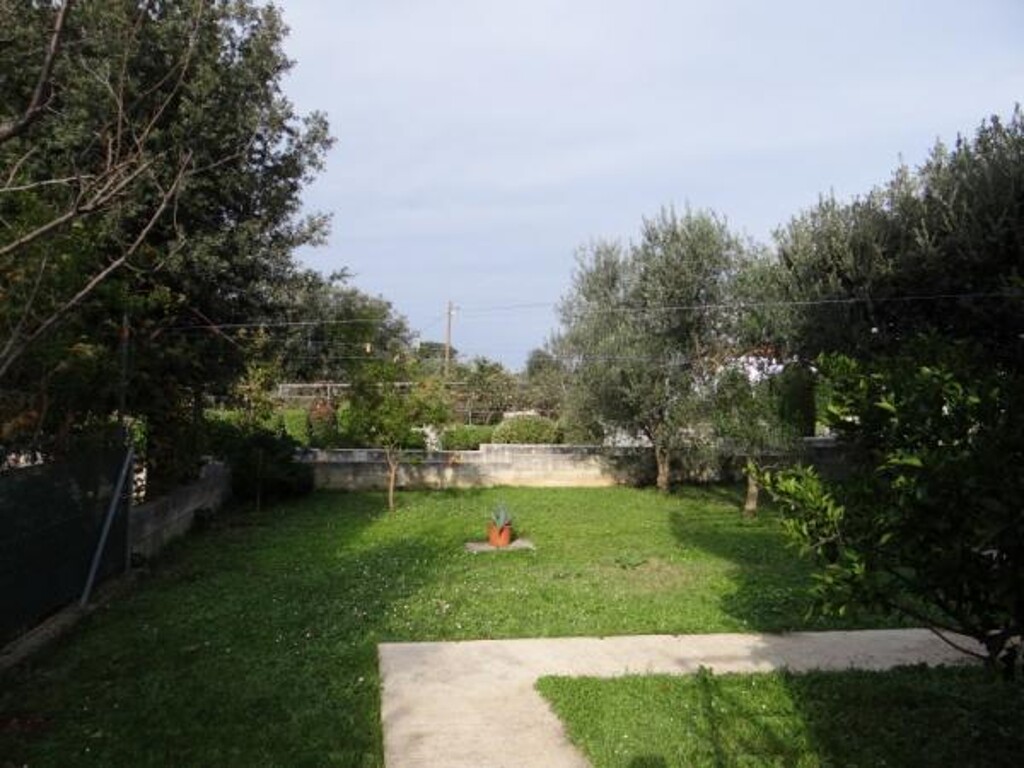 Image 3812137 - 11