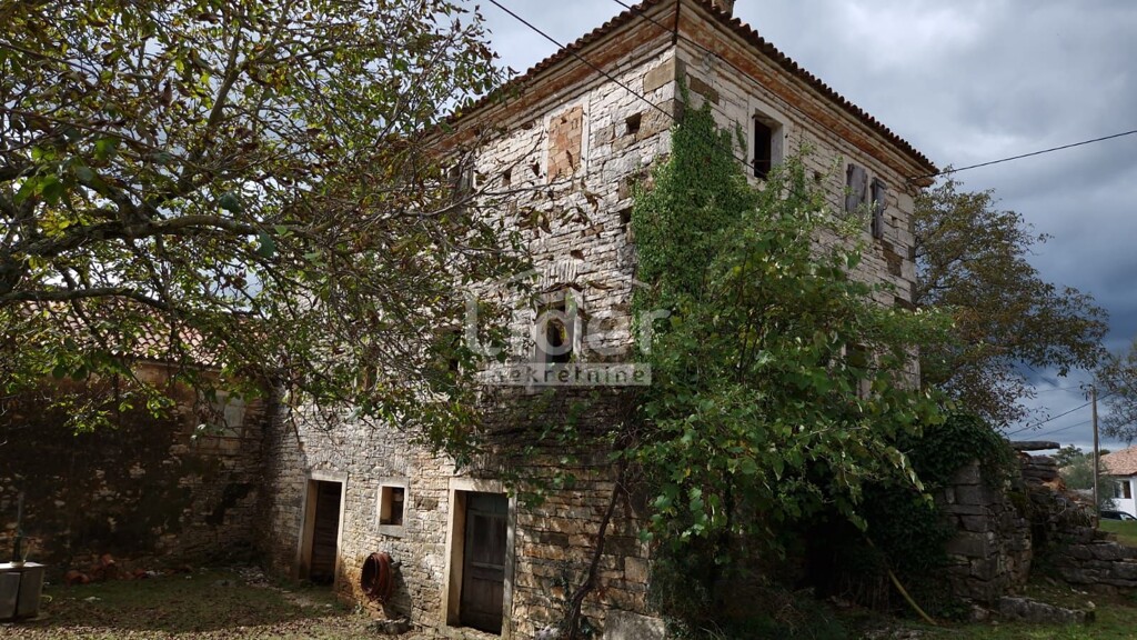 Image 6144948 - 3