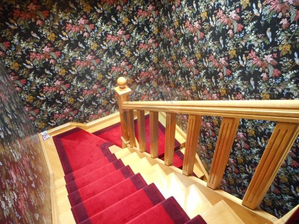 Image 5411012 - 11
