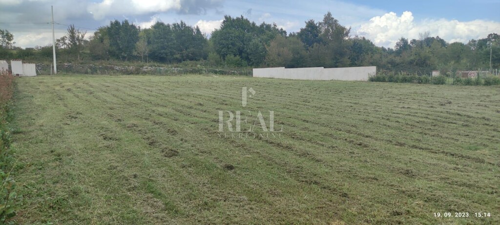 Image 14