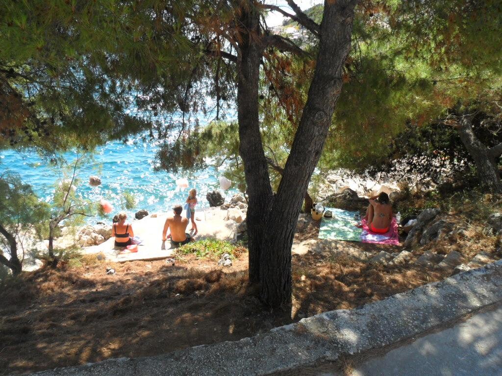 Image 3812215 - 5