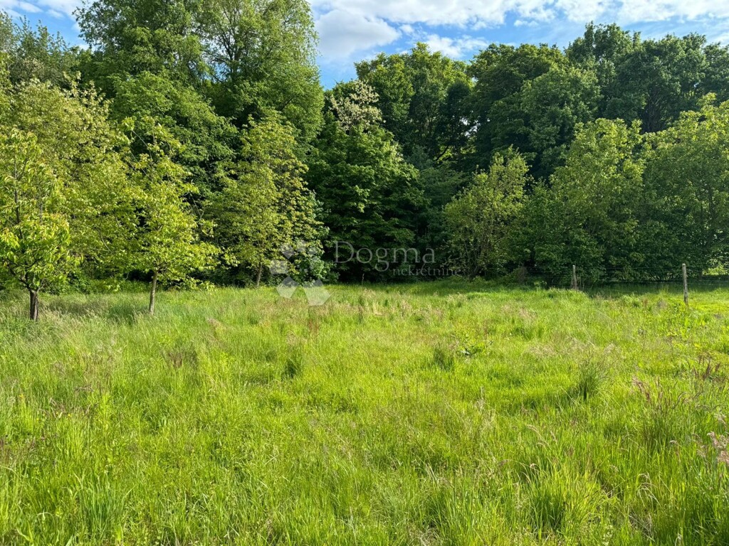 Image 17