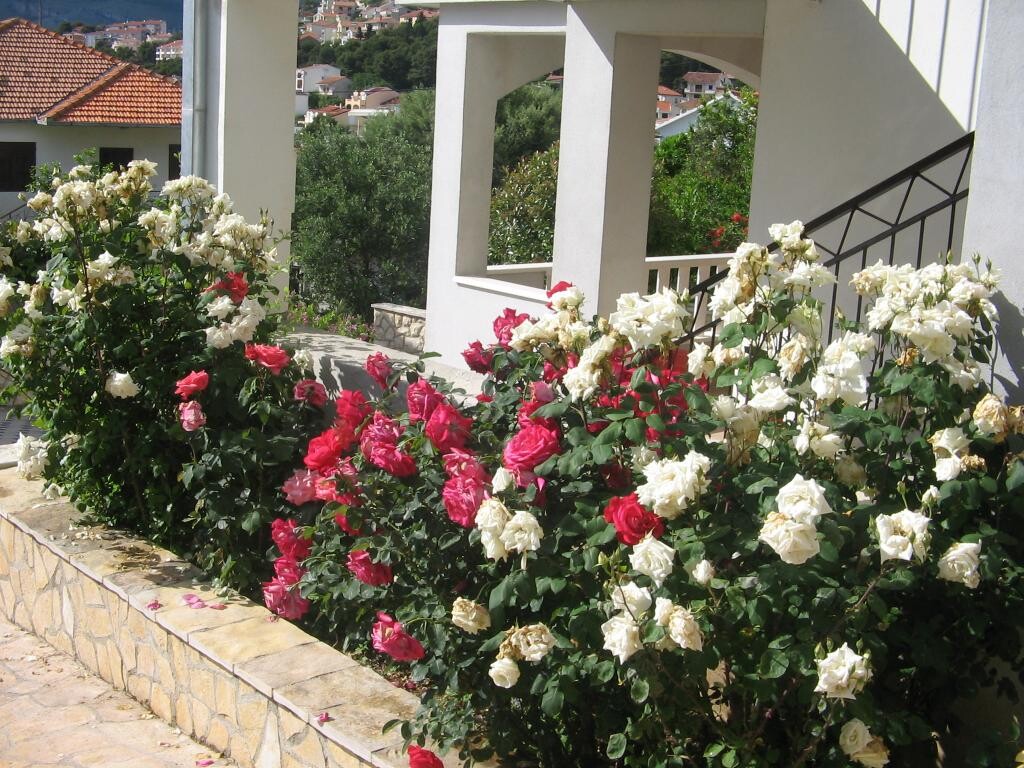 Image 3838999 - 7