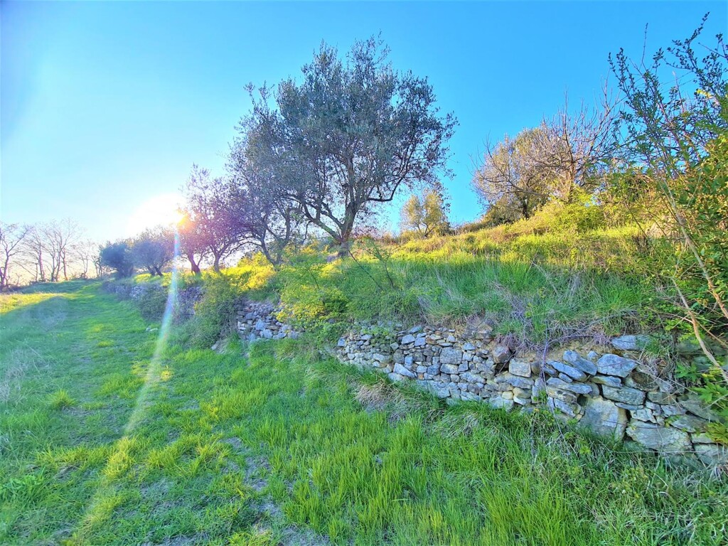 Image 5440087 - 15