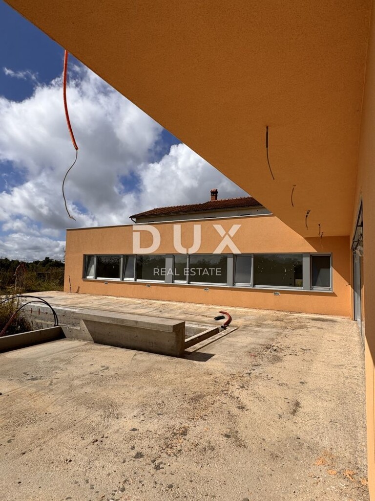 Image 15