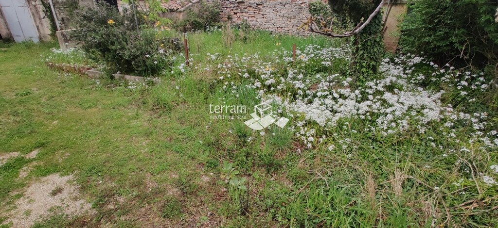 Image 18