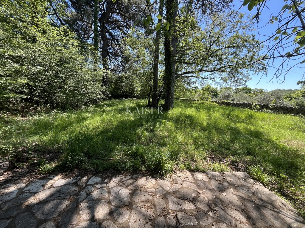 Image 25