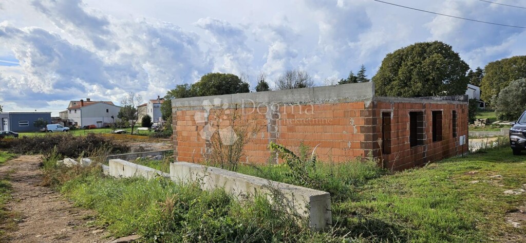 Image 19