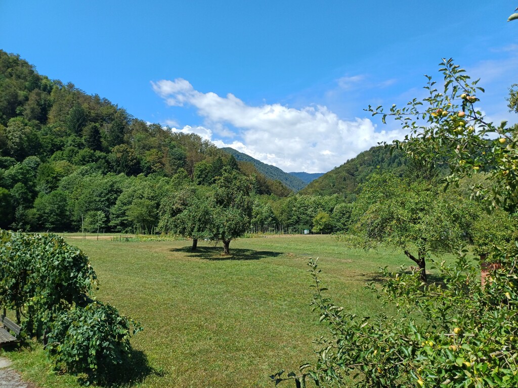 Image 18