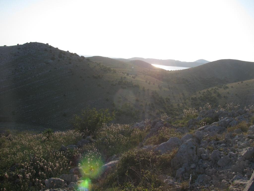 Image 31