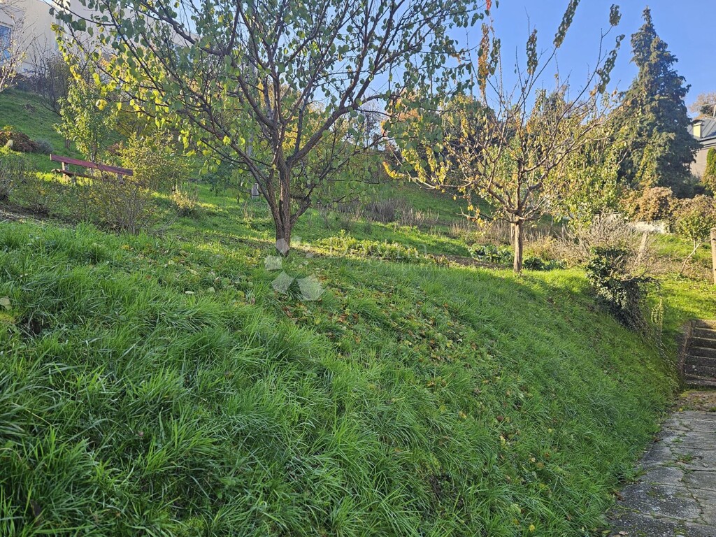 Image 23