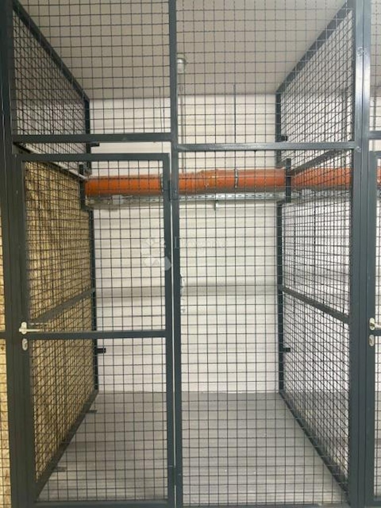 Image 19
