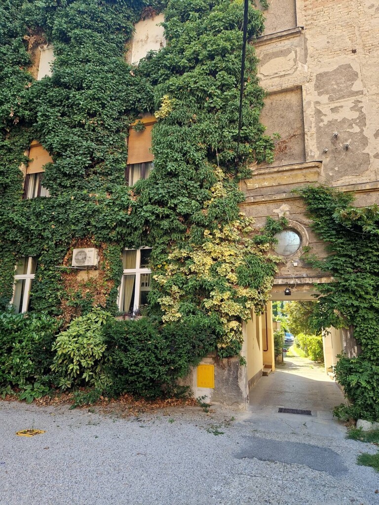 Image 15