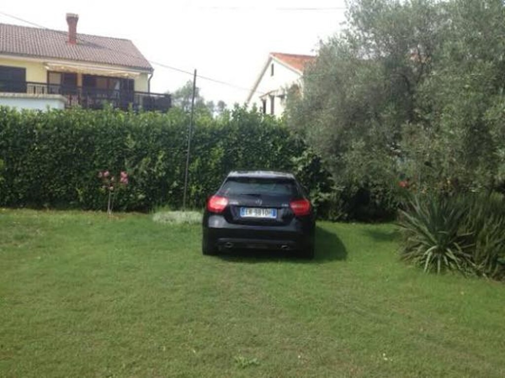 Image 3838730 - 9