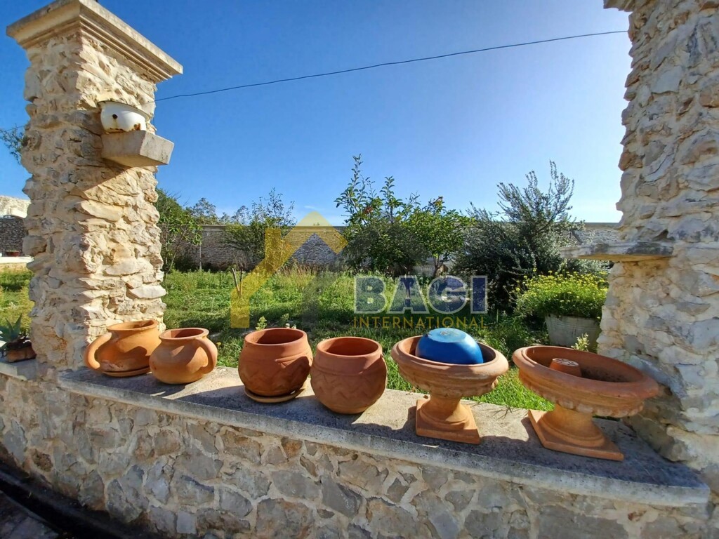 Image 14