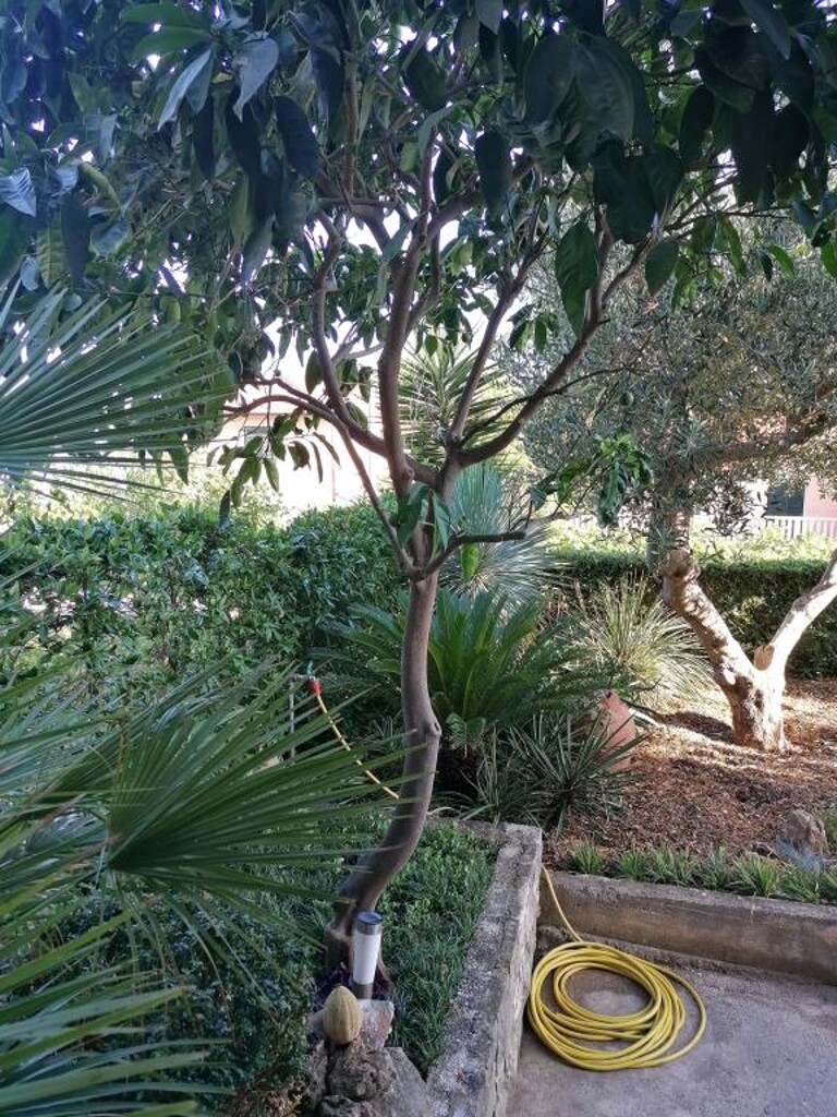 Image 3831978 - 32